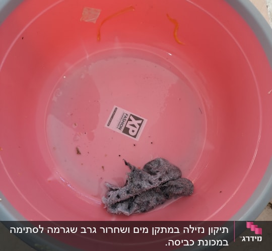 קערה ורודה עם מים ולכלוך בתחתית